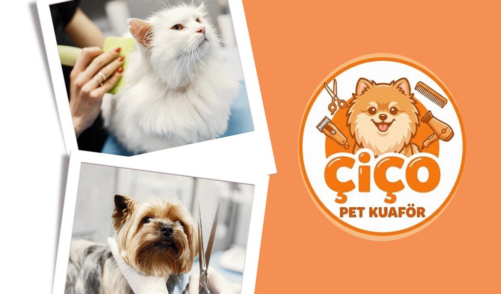 34 Yıllık Tecrübe Sevgiyle Buluşuyor; ÇİÇO KEDİ VE KÖPEK KUAFÖRÜ