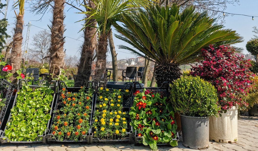 BAHÇEM PEYZAJ İle Bahçenize Dair Her Şey