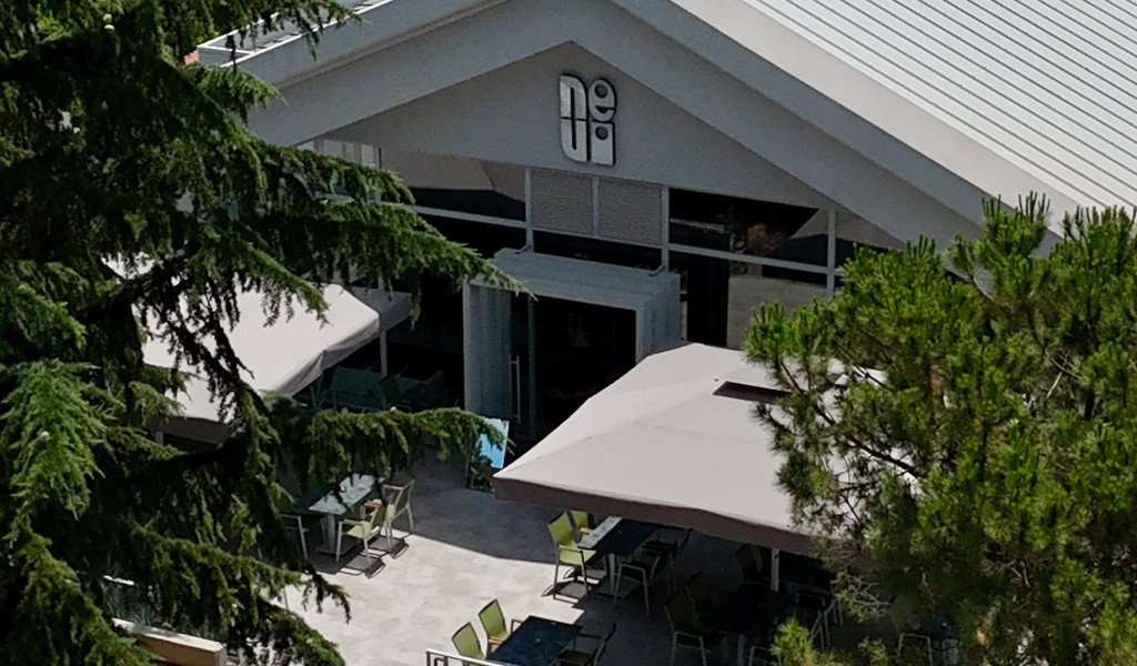 Bir Nevi Kulüp